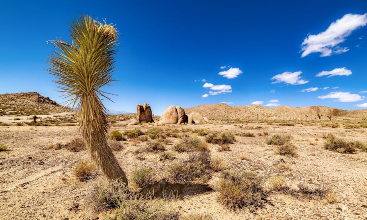 Alvord Desert