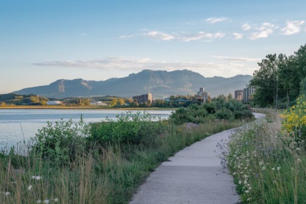 Scenic walking paths near me showcasing natural beauty.