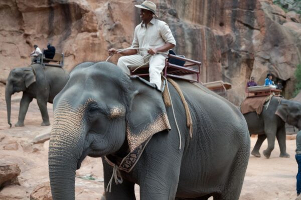 Family enjoying a guided safari tour at Keystone Safari wildlife park