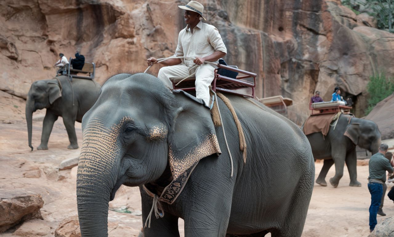 Family enjoying a guided safari tour at Keystone Safari wildlife park