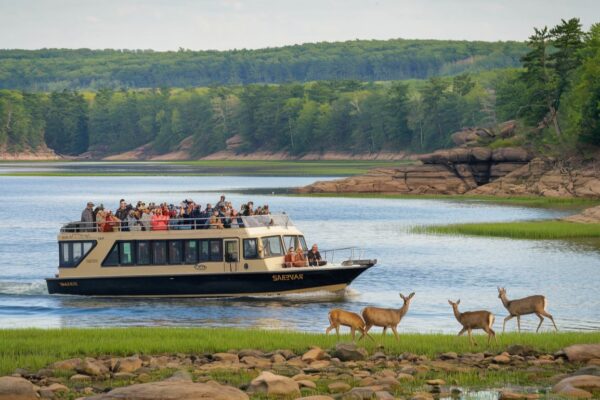 Visitors enjoying animal interactions at Safari Lake Geneva