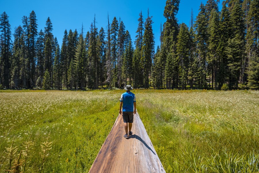 Explore the scenic wonders and attractions of Bend, Oregon.